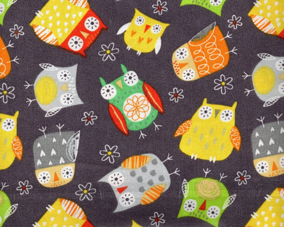 Cover Nap Preescolar